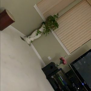 Meet your Posher, Krista